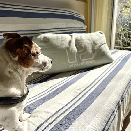 Petlyapartments *
