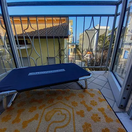Petlyapartments *