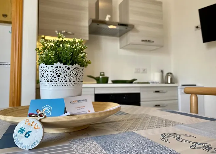 아파트 Petlyapartments *